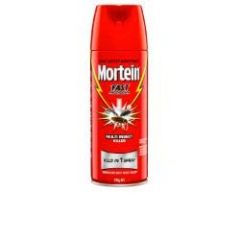 Mortein Fast Knockdown Aerosol Multi Insect Killer 200g