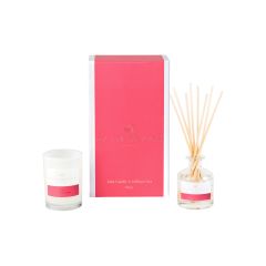 Palm Beach Collection Mini Candle & Diffuser Gift Pack Posy